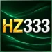 HZ333