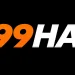 999HA Game