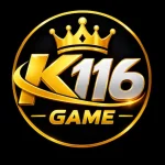 K116 Game